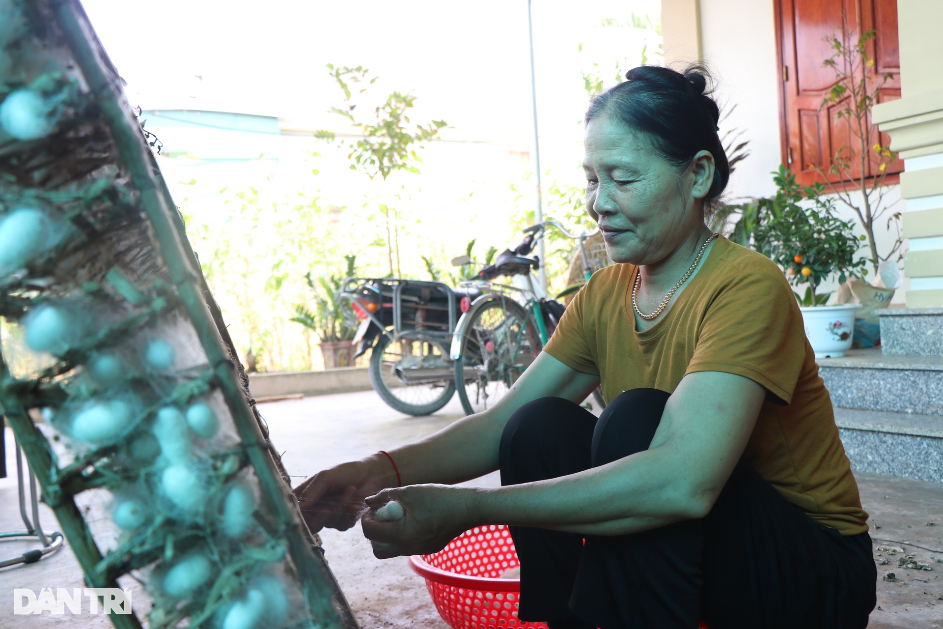 Nuôi con ăn lên, nông dân vùng biển thu nhập gấp hàng chục lần trồng lúa - 5