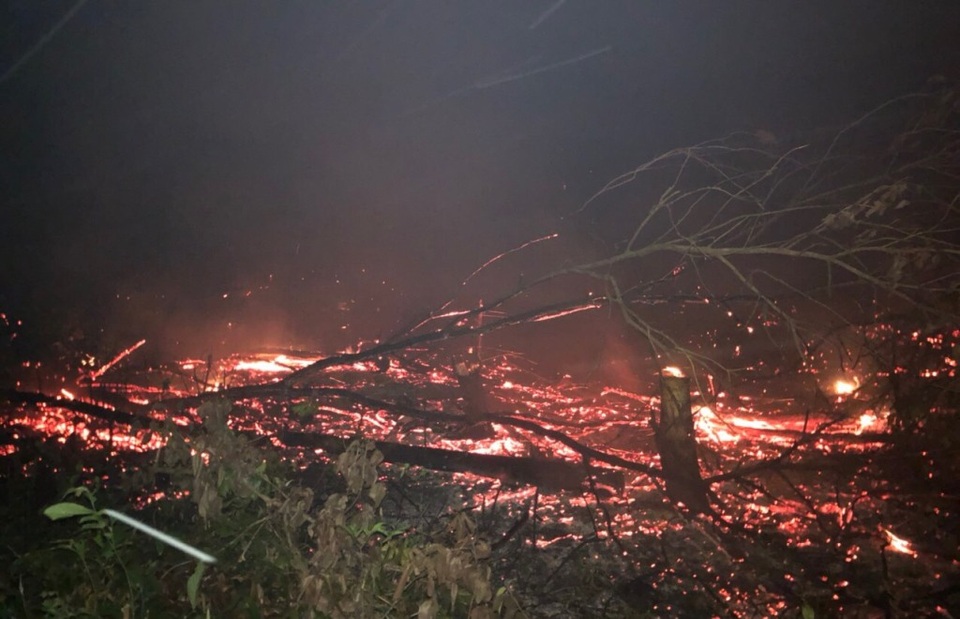 Đang truy tìm thủ phạm đốt rừng quốc gia Phú Quốc - 3