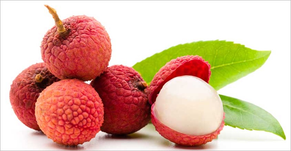 Không chỉ ngon ngọt, quả vải còn là “khắc tinh” của bệnh ung thư - 2 Không chỉ ngon ngọt, quả vải còn là “khắc tinh” của bệnh ung thư - 2