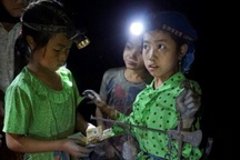 Xử lý nghiêm, kịp thời các trường hợp sử dụng lao động trẻ em