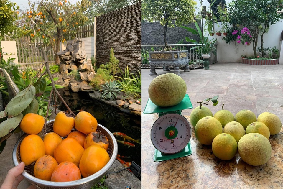 Choáng ngợp biệt thự trăm m2 hoa trái sum suê của mẹ đảm Hà Nội - 4