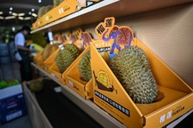Trung Quốc tự trồng sầu riêng, gây bất ngờ về giá bán