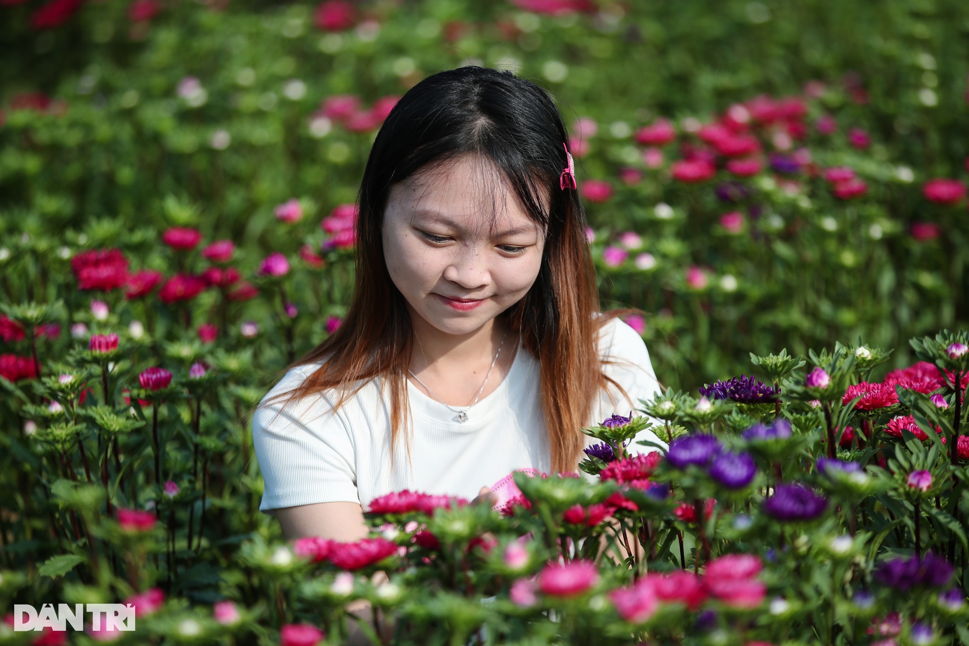 Thủ phủ hoa lớn nhất Bình Dương tất bật ngày giáp Tết - 12 Thủ phủ hoa lớn nhất Bình Dương tất bật ngày giáp Tết - 12