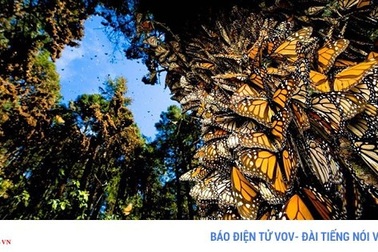 Ngắm những hiện tượng thiên nhiên rực rỡ sắc màu trên thế giới