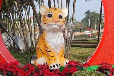 Cuộc tranh hùng của những chú "siêu hổ" 64 tỉnh thành mùa xuân 2022