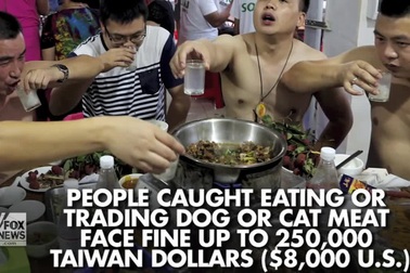 Chính quyền Đài Loan (Trung Quốc) ra lệnh cấm ăn thịt chó, mèo
