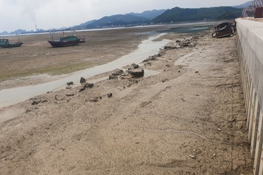 Vụ lấn biển bị phạt 100 triệu đồng: Làm rõ trách nhiệm quản lý cấp huyện