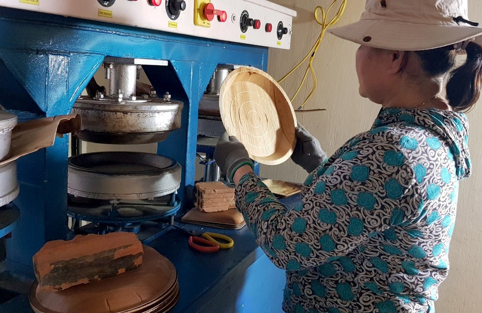Kiếm trăm triệu từ mo cau.jpg Kiếm trăm triệu từ mo cau.jpg