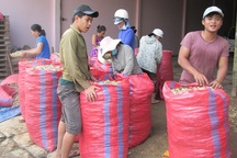 Kiệu Tết Phù Mỹ được giá, cháy hàng