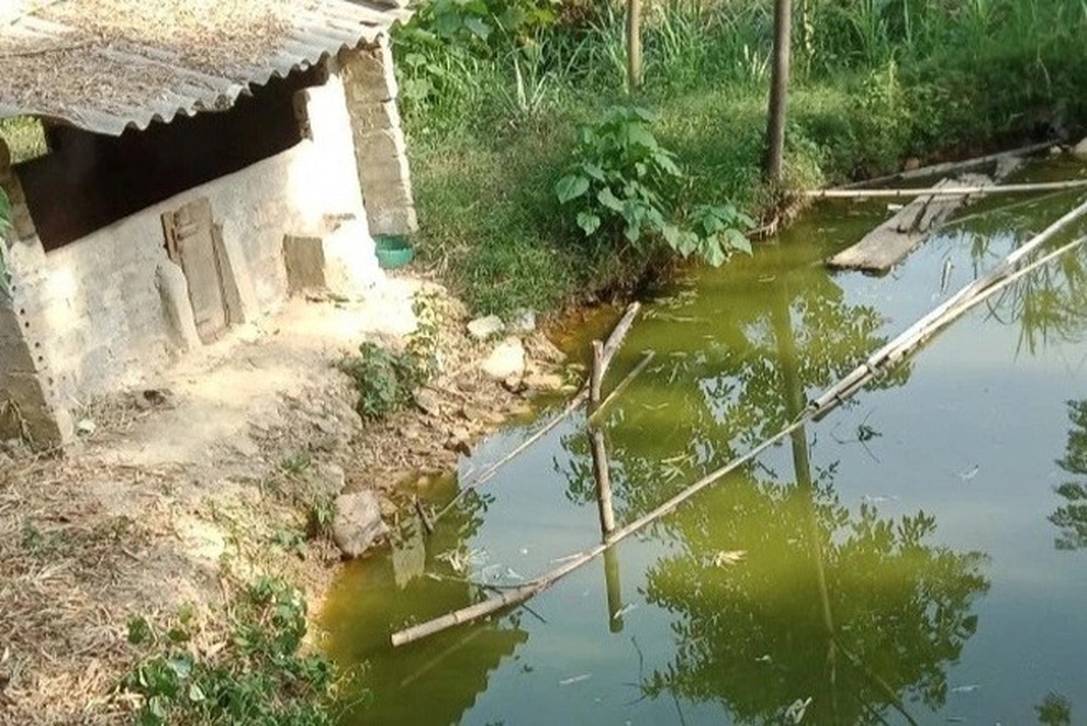 Bà nội đi tìm, phát hiện cháu chết đuối dưới mương nước - 1 Bà nội đi tìm, phát hiện cháu chết đuối dưới mương nước - 1