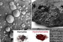 Sinh vật Sao Hỏa là thứ đã xuất hiện ở Trái Đất từ thế kỷ 19?