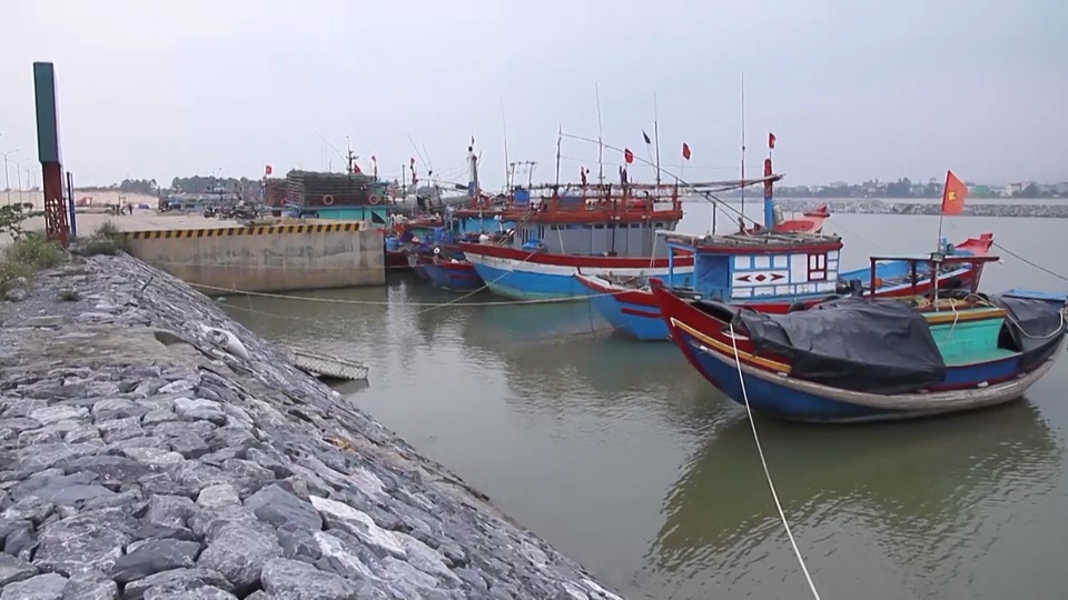 Thiếu âu thuyền, gần 1.200 tàu cá “chật vật” tìm nơi neo đậu - 1