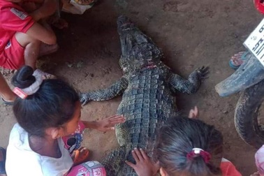 Cá sấu bị dân làng giết chết sau khi bất ngờ cắn người