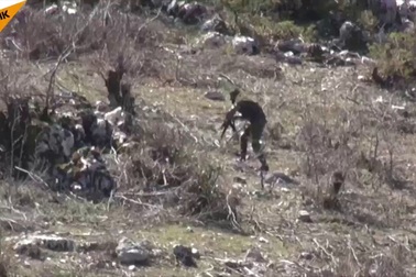 Lính tình nguyện Syria huấn luyện tác chiến như thế nào?