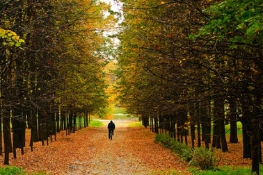 Đẹp nao lòng sắc thu vàng nước Nga