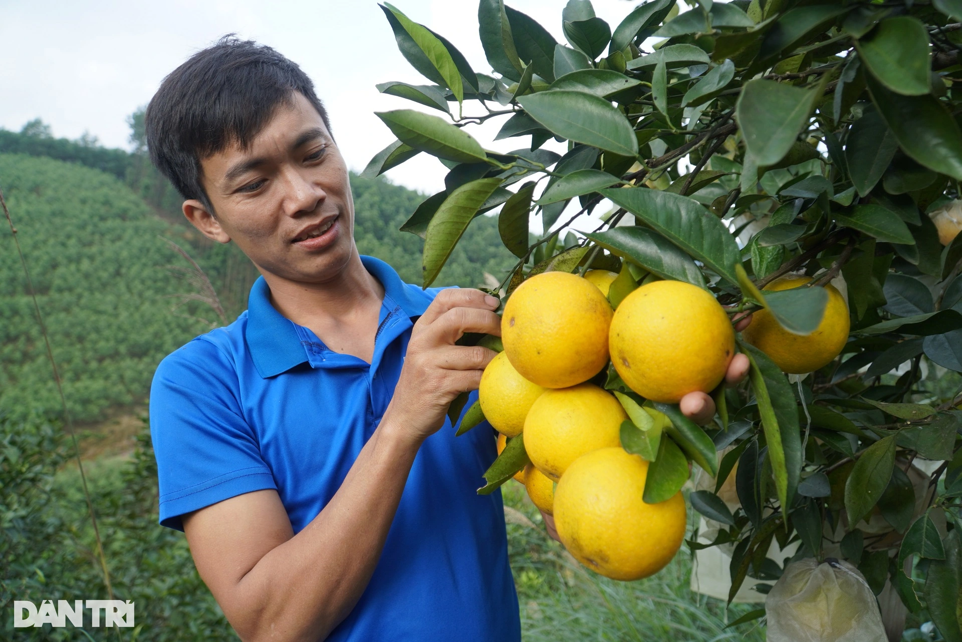 Chàng trai bỏ việc nhà nước về quê khởi nghiệp, lãi 400 triệu đồng mỗi năm - 9