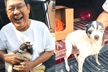 Chuyện về những chú chó dũng cảm cứu chủ