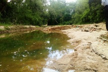 Bình Định: “Cát tặc” lộng hành đe doạ dân, chính quyền xã kêu khó xử lý