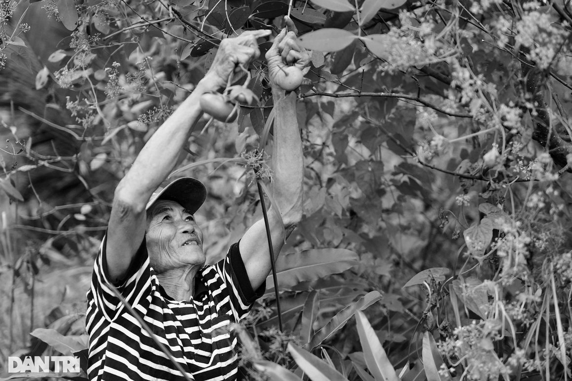 Ông lão 65 tuổi hơn 20 năm mót sắt ở Sài Gòn - 12 Ông lão 65 tuổi hơn 20 năm mót sắt ở Sài Gòn - 12