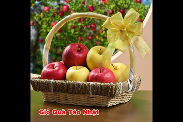 Quá trình hoàn hảo chăm sóc, thu hoạch và phân phối táo Aomori