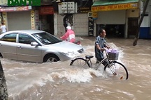 Người Hà Nội ăn ngủ trên "biển nước"