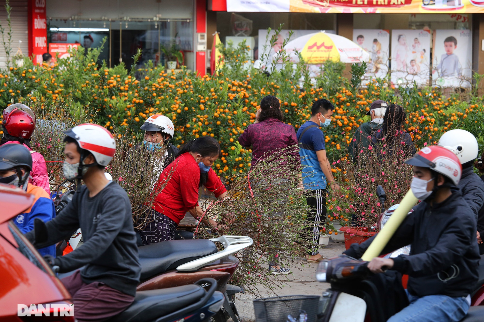 Chợ hoa bày bán trên đường phố Hà Nội đông khách bất chấp dịch Covid-19 - 7 Chợ hoa bày bán trên đường phố Hà Nội đông khách bất chấp dịch Covid-19 - 7