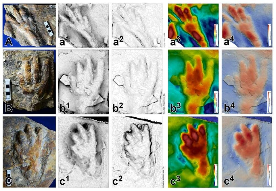Nghiên cứu mới tiết lộ nguồn gốc dấu chân cổ đại được tìm thấy ở Hàn Quốc - 4