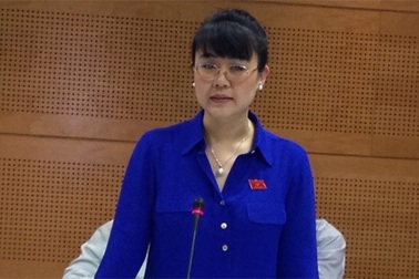 Doanh nhân làm nghị sỹ: Làm sao tròn cả hai vai?