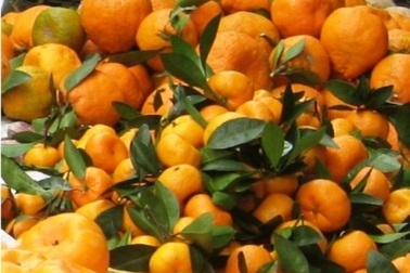 Lại phát hiện quýt, thịt gà nhiễm độc