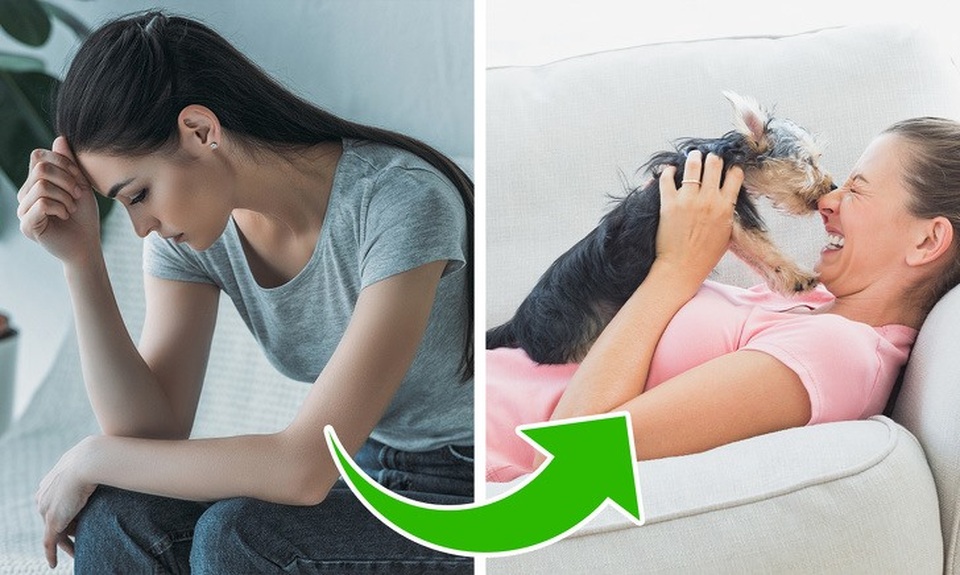 Điều gì sẽ xảy ra với cơ thể nếu uống loại sữa này trước khi đi ngủ - 4 Điều gì sẽ xảy ra với cơ thể nếu uống loại sữa này trước khi đi ngủ - 4