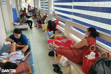 TPHCM: 29 ca tử vong vì sốt xuất huyết, 75% là người lớn