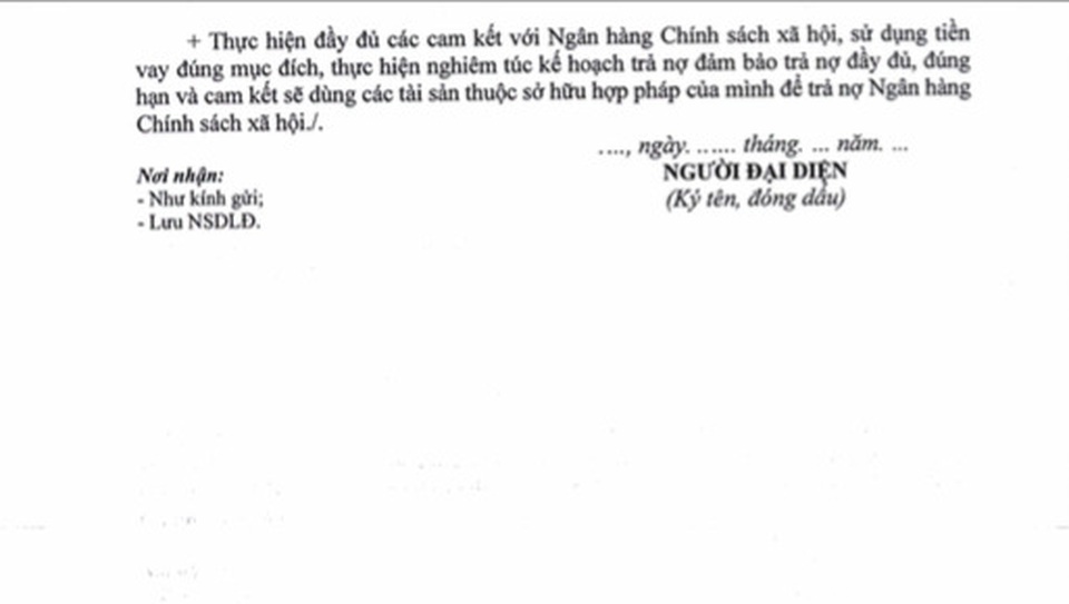 Các phụ lục kèm theo Quyết định 15/QĐ-TTg về gói hỗ trợ 62.000 tỷ đồng - 13 Các phụ lục kèm theo Quyết định 15/QĐ-TTg về gói hỗ trợ 62.000 tỷ đồng - 13
