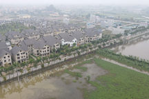 Ngăn chặn trường hợp cá nhân thu gom đất trồng lúa để đầu cơ