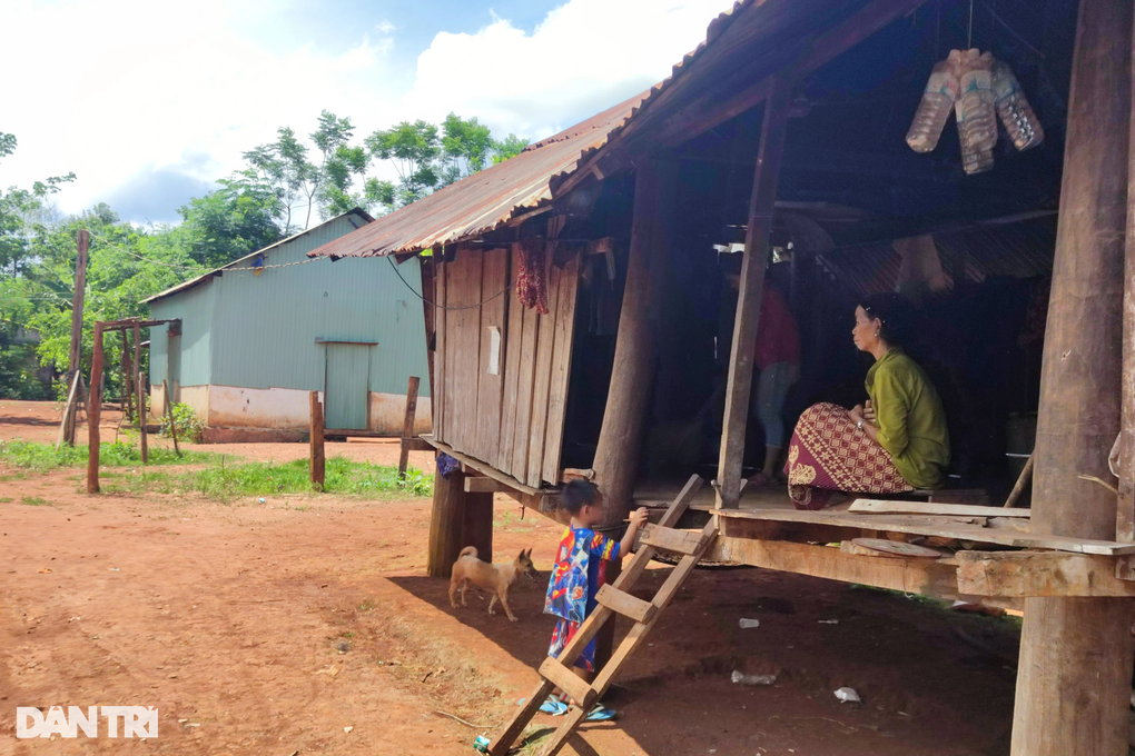 Gia Lai vào cuộc vụ thanh niên tin việc nhẹ lương cao, bị lừa xuất ngoại - 1 Gia Lai vào cuộc vụ thanh niên tin việc nhẹ lương cao, bị lừa xuất ngoại - 1
