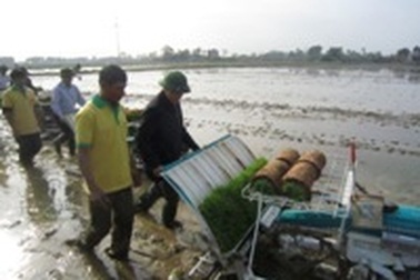 Phó Chủ tịch tỉnh lội ruộng đi cấy