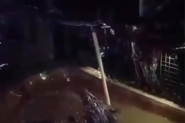 Vuốt ve cá sấu định cho ăn, khách bị kéo tuột xuống nước suýt bỏ mạng