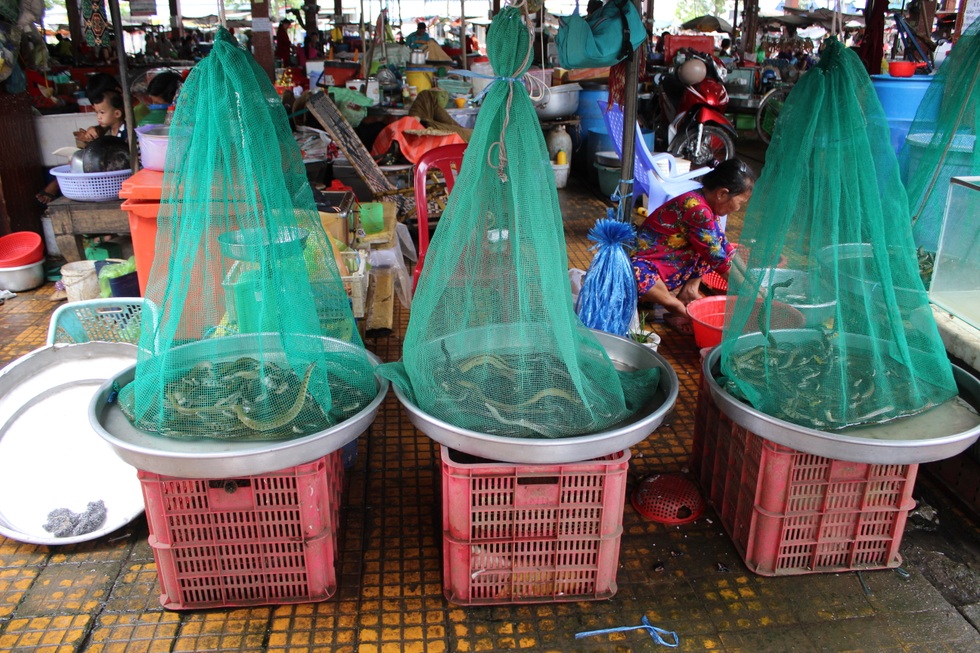 Nguy cơ bùng nổ H5N1 từ những người Việt sành ăn, sành chơi - 7 Nguy cơ bùng nổ H5N1 từ những người Việt sành ăn, sành chơi - 7