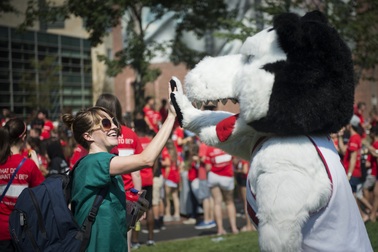 Học và thực tập tại Boston hoặc New York