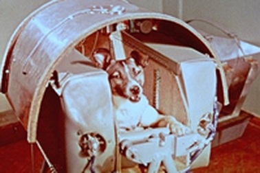 Laika, con chó đầu tiên bay vào quỹ đạo