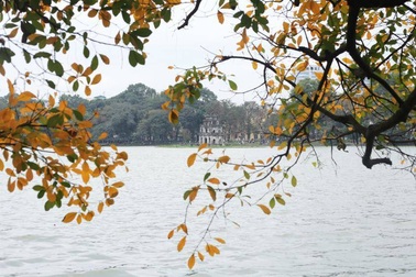 Nao lòng với Hà Nội mùa cây thay lá