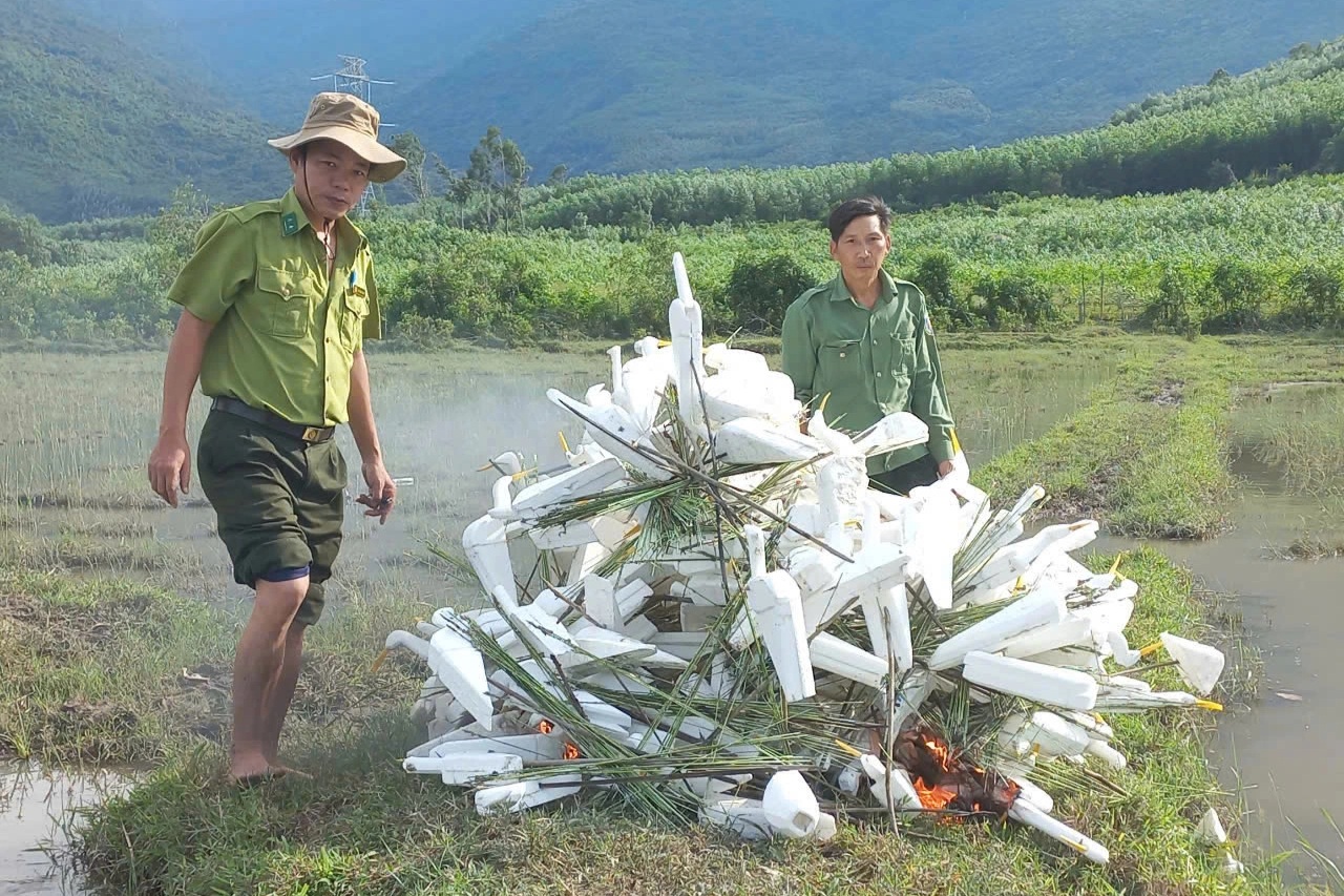 Cứu tổ chim trời trên đất Thừa Thiên Huế