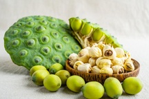 5 lợi ích của hạt sen đối với sức khỏe mà ai cũng nên biết