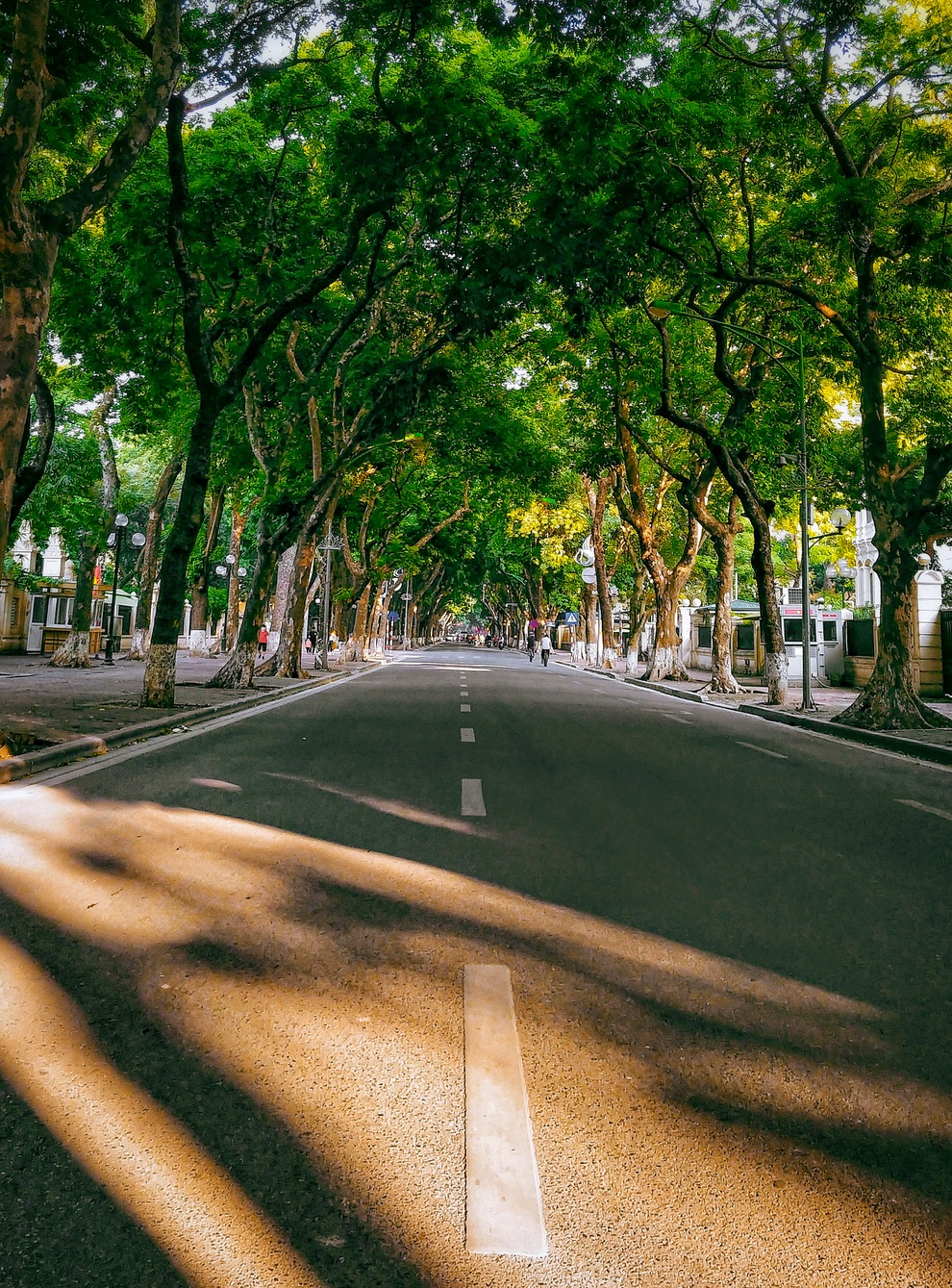 Phố Phan Đình Phùng bình yên những ngày đông về - 8 Phố Phan Đình Phùng bình yên những ngày đông về - 8