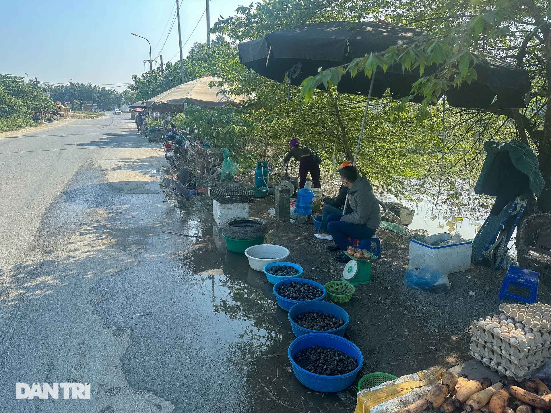 Chim hoang dã bị khâu mắt, trói chân, bán công khai ngay tại Hà Nội - 5 Chim hoang dã bị khâu mắt, trói chân, bán công khai ngay tại Hà Nội - 5