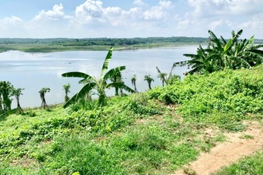 Người Sài Gòn thích bỏ phố về rừng, đất vườn hút khách