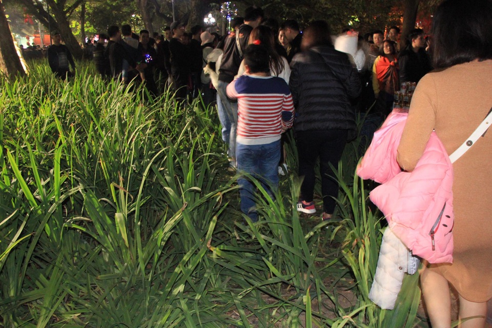Vườn hoa ven Hồ Gươm bị giẫm nát sau màn pháo hoa chào năm mới - 6 Vườn hoa ven Hồ Gươm bị giẫm nát sau màn pháo hoa chào năm mới - 6