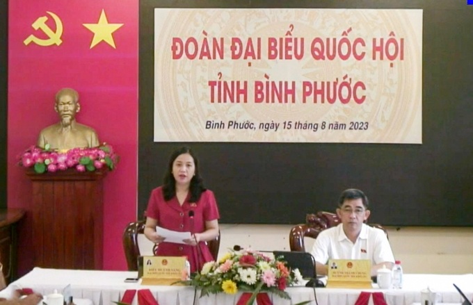 Đại biểu Điểu Huỳnh Sang chất vấn về vấn đề chậm ban hành văn bản pháp luật