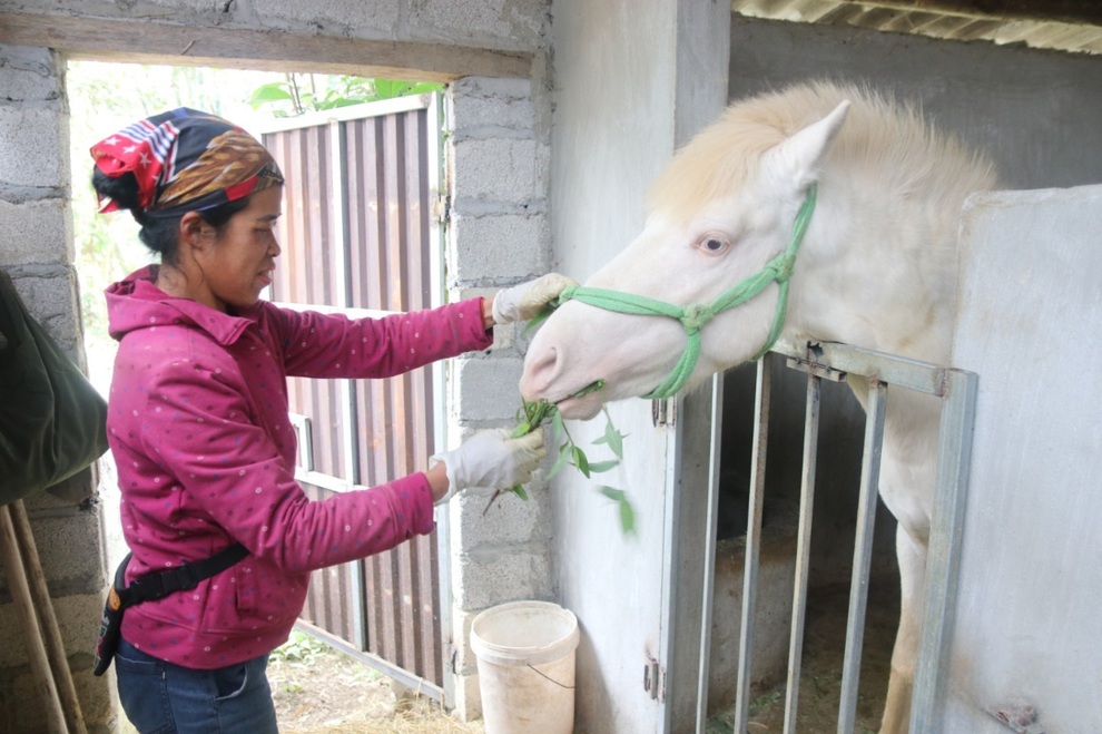 Lạng Sơn: Người dân thoát nghèo nhờ các mô hình hỗ trợ sinh kế - 1 Lạng Sơn: Người dân thoát nghèo nhờ các mô hình hỗ trợ sinh kế - 1