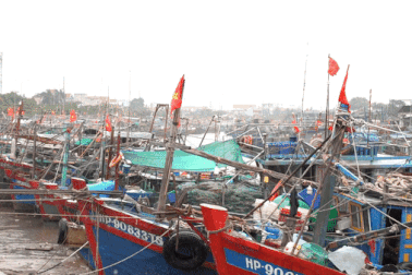 Hải Phòng: Bão Talim suy yếu, khách du lịch đổ ra biển ngắm sóng