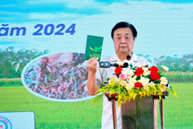 Lễ hội lúa rươi ở Hải Dương đã truyền cảm hứng cách làm nông nghiệp hữu cơ